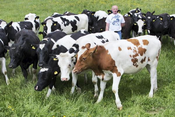 Managing replacement heifers for the first winter: What you need to do now Managing replacement heifers for the first winter: What you need to do now