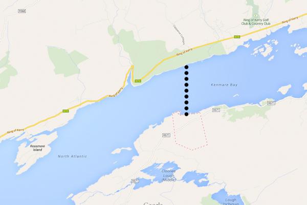 Cow survives three mile swim across Kenmare bay Cow survives three mile swim across Kenmare bay