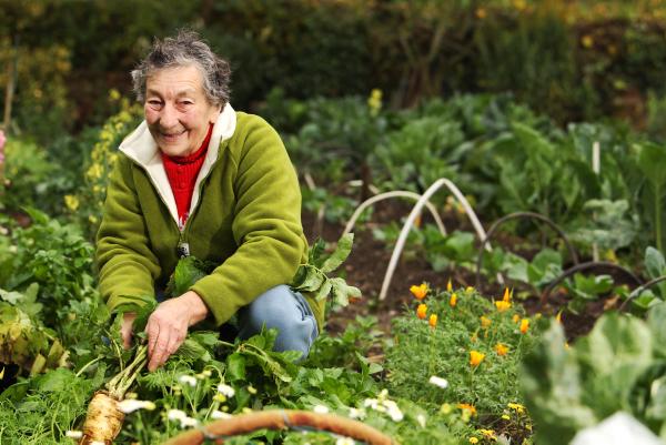 Lily's garden Lily's garden