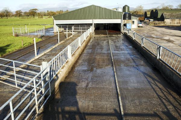 Collecting yard saves time and labour
Collecting yard saves time and labour