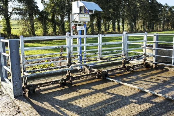 Collecting yard saves time and labour
Collecting yard saves time and labour