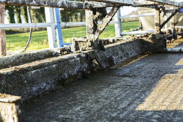 Collecting yard saves time and labour
Collecting yard saves time and labour