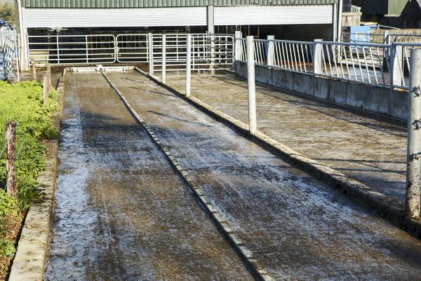 Collecting yard saves time and labour
Collecting yard saves time and labour