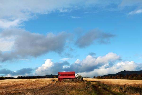 Department of Agriculture releases more details for GLAS Department of Agriculture releases more details for GLAS