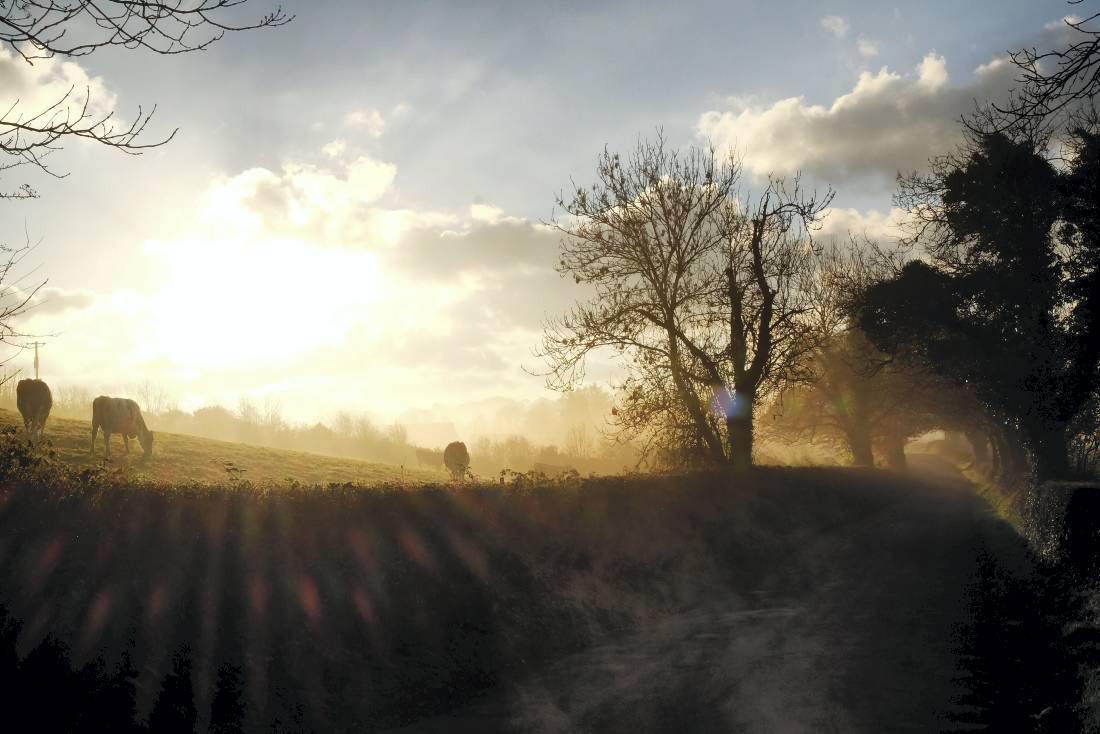 €560m SFP payment on track for 1 December €560m SFP payment on track for 1 December