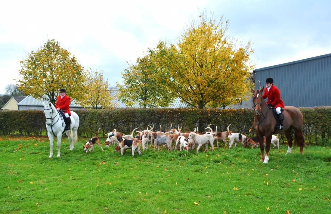 Traditional breeders seek special status in Irish Stud Book Traditional breeders seek special status in Irish Stud Book