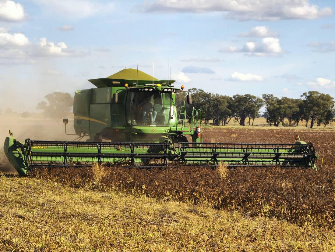 Quality good but yields back: Letter from New South Wales
Quality good but yields back: Letter from New South Wales