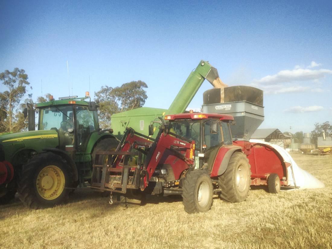 Quality good but yields back: Letter from New South Wales
Quality good but yields back: Letter from New South Wales