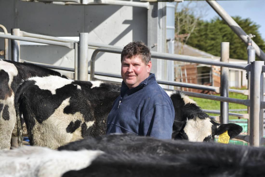 Australia feeding Chinese demand for heifers Australia feeding Chinese demand for heifers