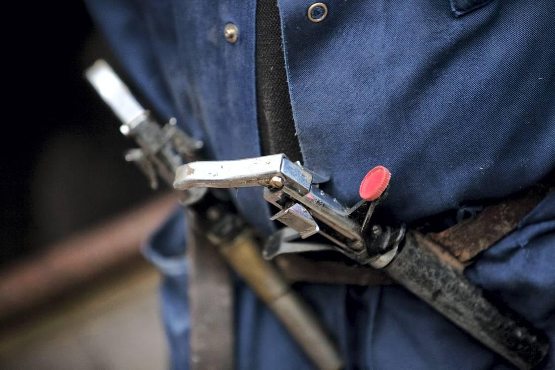 Herd Testing cost set to halve next year Herd Testing cost set to halve next year