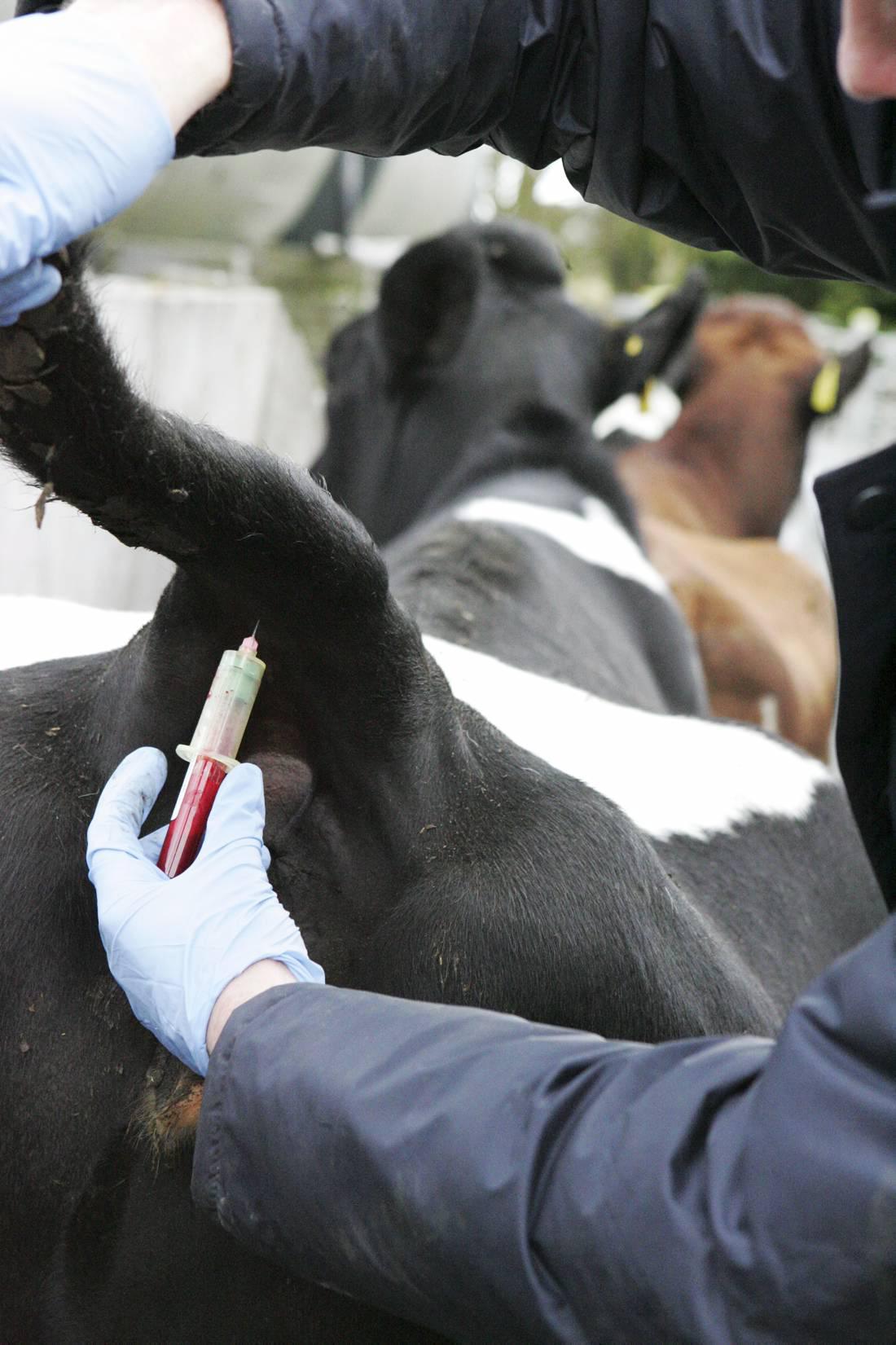 Herd Testing cost set to halve next year Herd Testing cost set to halve next year