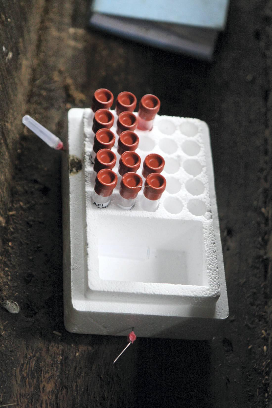 Herd Testing cost set to halve next year Herd Testing cost set to halve next year