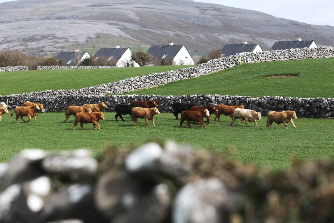 2014 – An A to Z of the farming year 2014 – An A to Z of the farming year