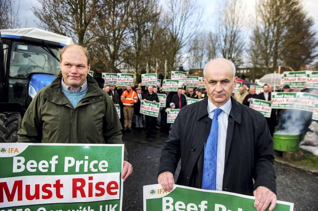 2014 – An A to Z of the farming year 2014 – An A to Z of the farming year