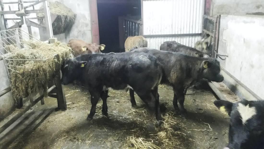 Farmer writes: Planning for 2015 Farmer writes: Planning for 2015