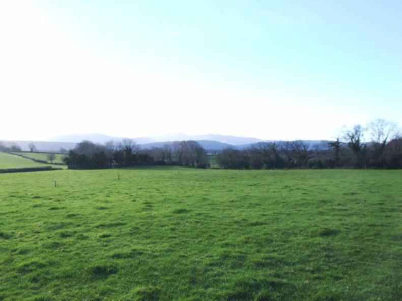 Compact holding outside Clonmel to go under the hammer Compact holding outside Clonmel to go under the hammer