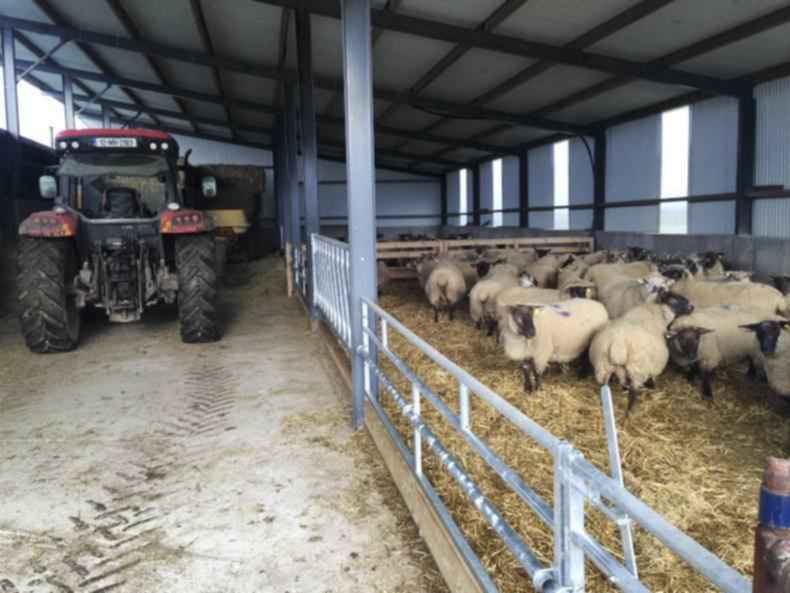 Farmer writes: Our own health must not be ignored Farmer writes: Our own health must not be ignored