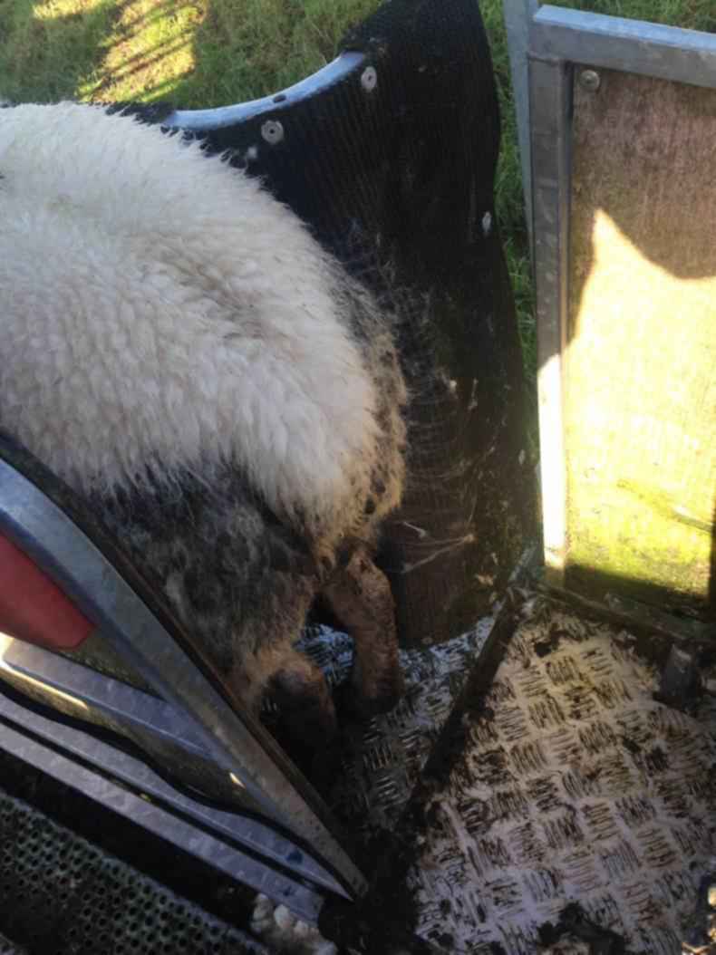 Farmer writes: Our own health must not be ignored Farmer writes: Our own health must not be ignored