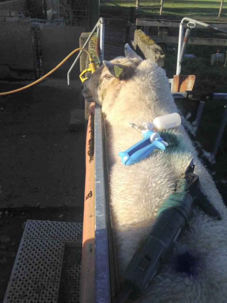 Farmer writes: Our own health must not be ignored Farmer writes: Our own health must not be ignored