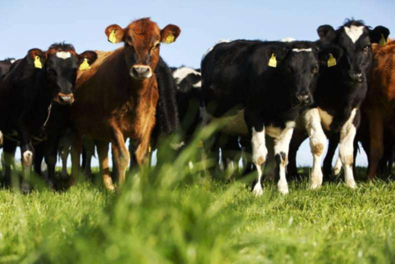 Irish Farmers Journal dairy meetings start today Irish Farmers Journal dairy meetings start today