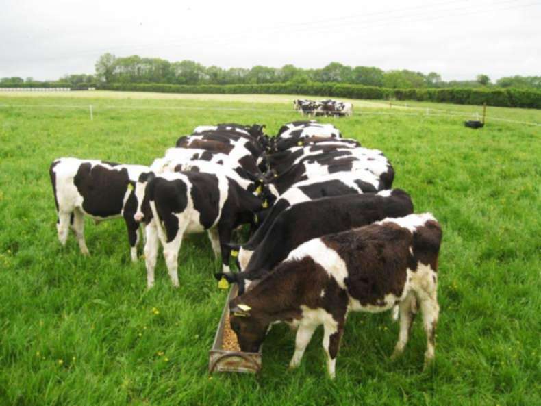 Teagasc develop template agreement for dairy share-farming Teagasc develop template agreement for dairy share-farming