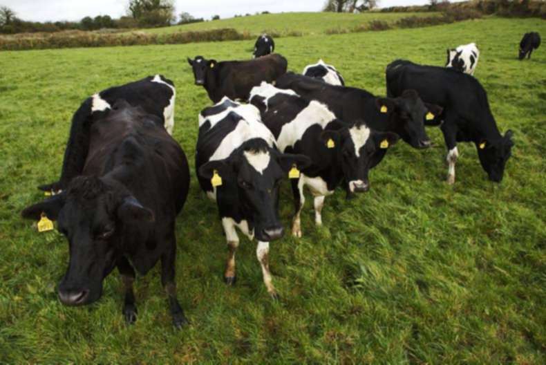 Teagasc launches five year plan for Mayo region Teagasc launches five year plan for Mayo region