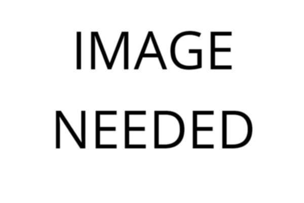 Northern Ireland Beef and Hogget quotes week ending 31 January 2015 Northern Ireland Beef and Hogget quotes week ending 31 January 2015