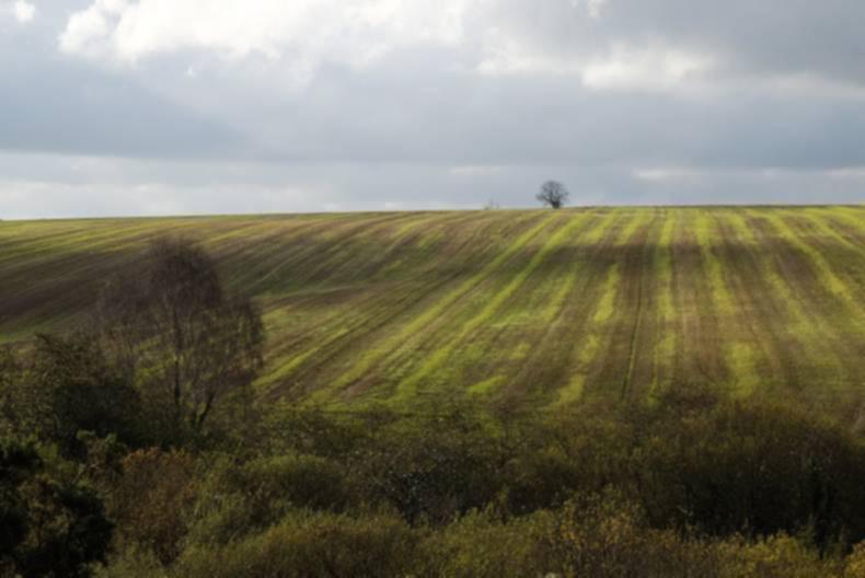 Tillage farmers must optimise their situation, conference hears Tillage farmers must optimise their situation, conference hears