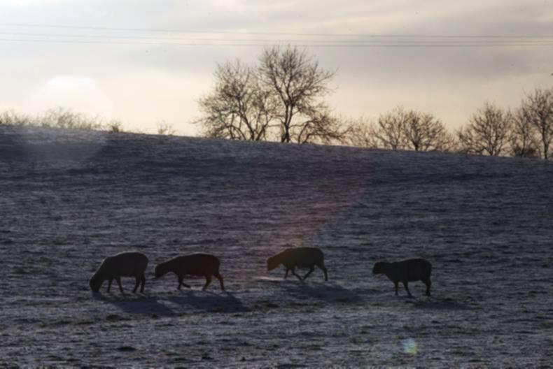 Wind and snow warning issued by Met Éireann Wind and snow warning issued by Met Éireann