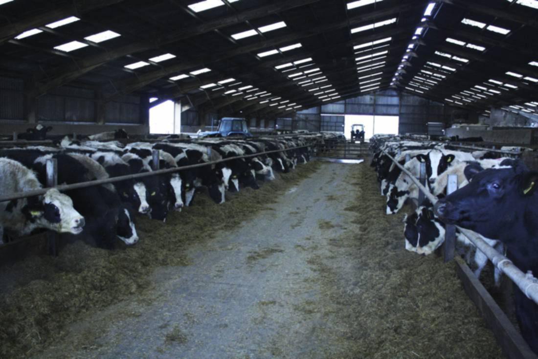 Boost for dairy markets as GDT auction jumps 9.4% Boost for dairy markets as GDT auction jumps 9.4%