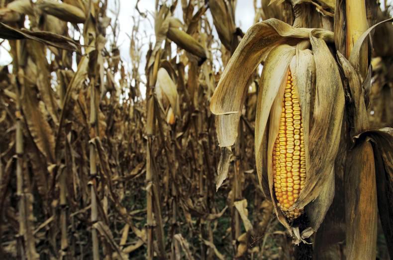 US to face decade-long droughts, a new study predicts US to face decade-long droughts, a new study predicts