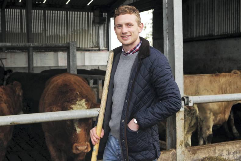 Farmer writes Why does beef play second fiddle to dairy? 22 February