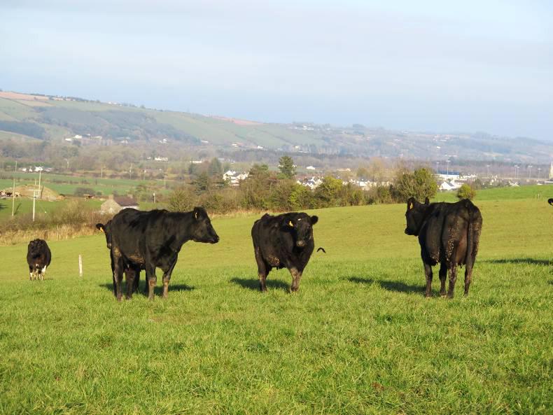 Can three-way crossing deliver? Can three-way crossing deliver?