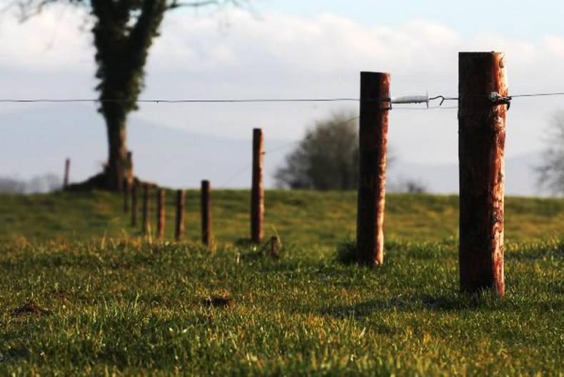 Major jump in the supply and value of land in Monaghan Major jump in the supply and value of land in Monaghan