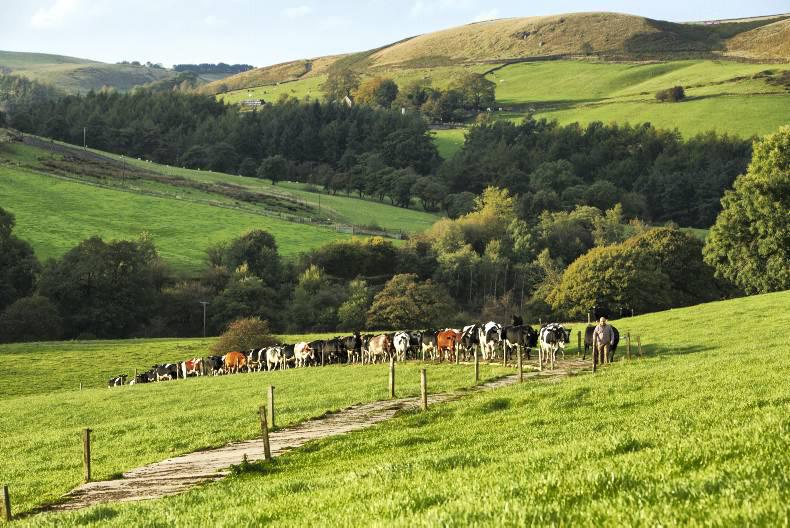 Almost half of UK food will be imported by 2040 Almost half of UK food will be imported by 2040