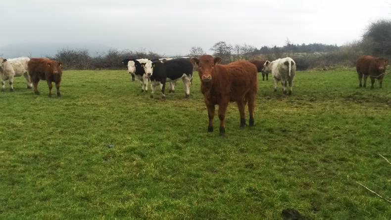 Farmer writes: Lack of details on new schemes is frustrating Farmer writes: Lack of details on new schemes is frustrating