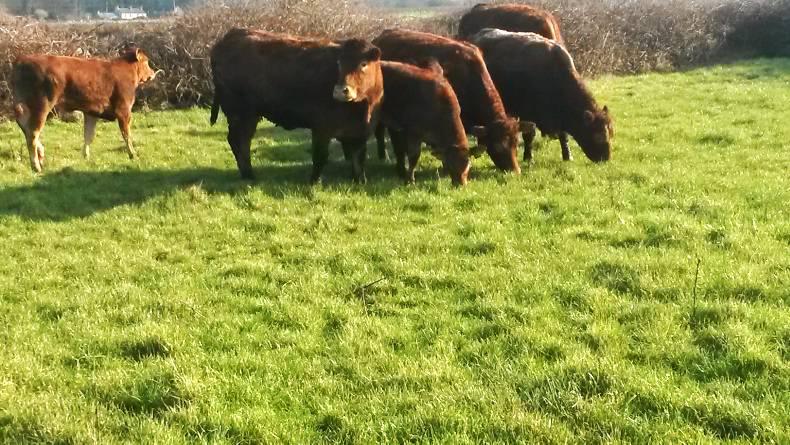 Farmer writes: Lack of details on new schemes is frustrating Farmer writes: Lack of details on new schemes is frustrating