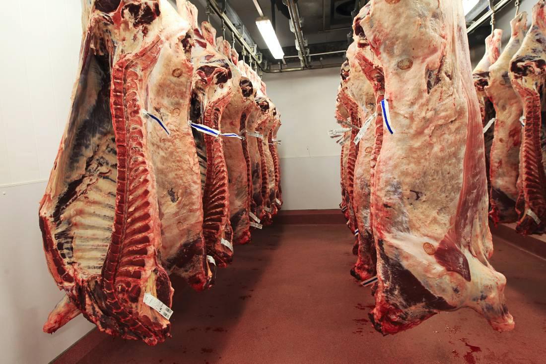 NIMEA urge caution on beef prices NIMEA urge caution on beef prices