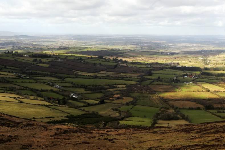 Hogan says CAP simplification will focus on direct payments and market measures Hogan says CAP simplification will focus on direct payments and market measures