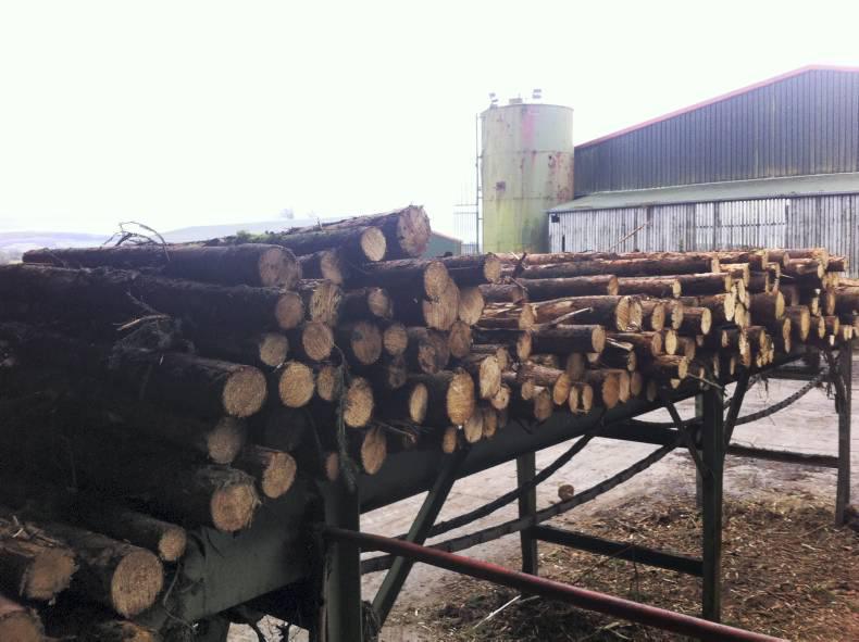 Making good fencing stakes in Offaly Making good fencing stakes in Offaly