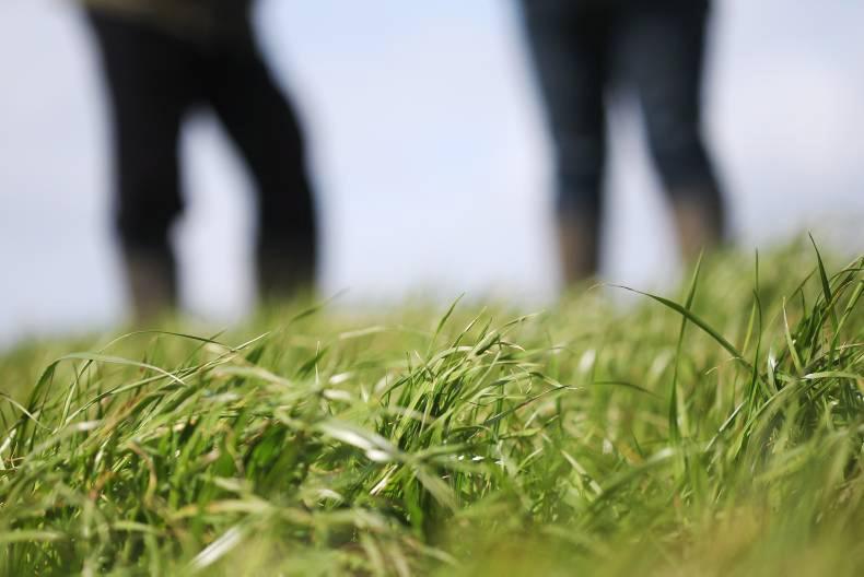 Monday management: soil temperatures, grazing and spreading Monday management: soil temperatures, grazing and spreading