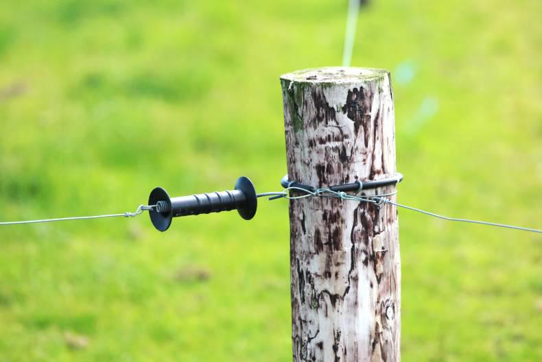 Greenfield farm update: Balancing feed in Kilkenny Greenfield farm update: Balancing feed in Kilkenny