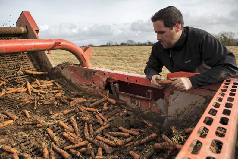 Farmer writes: Full steam ahead as harvest hits busiest period Farmer writes: Full steam ahead as harvest hits busiest period