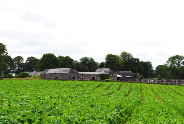 Land prices are steady in Mayo and Galway but supply is very tight Land prices are steady in Mayo and Galway but supply is very tight