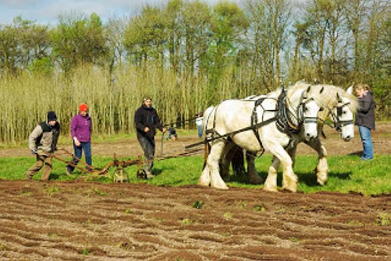 Cloughjordan workhorse display Cloughjordan workhorse display