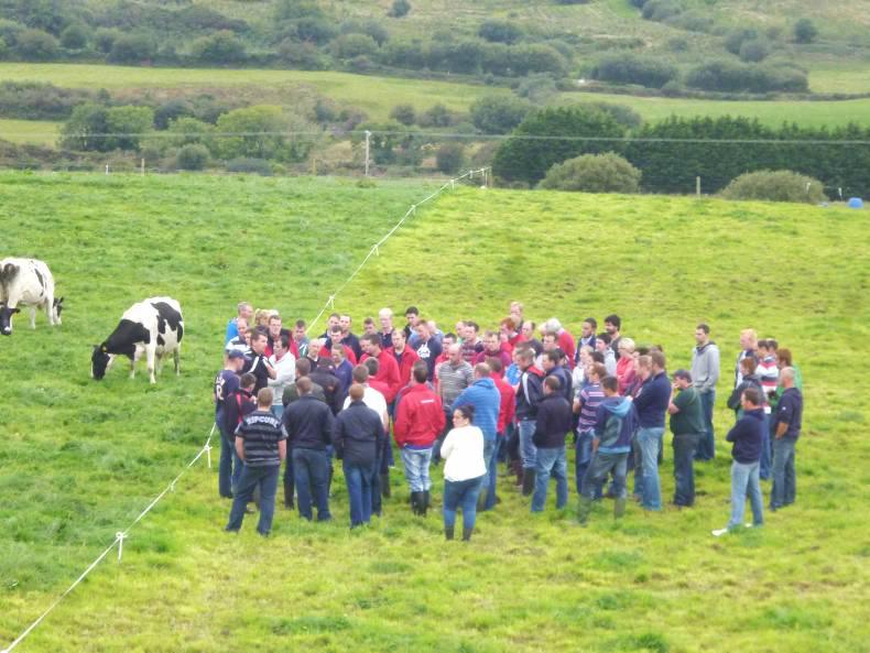 Diary of a Green Cert student... exam results Diary of a Green Cert student... exam results