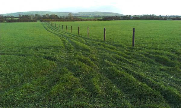 Land rental prices hit new highs Land rental prices hit new highs