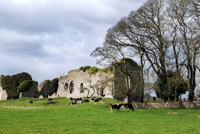 Agricultural jobs in Ireland and abroad Agricultural jobs in Ireland and abroad