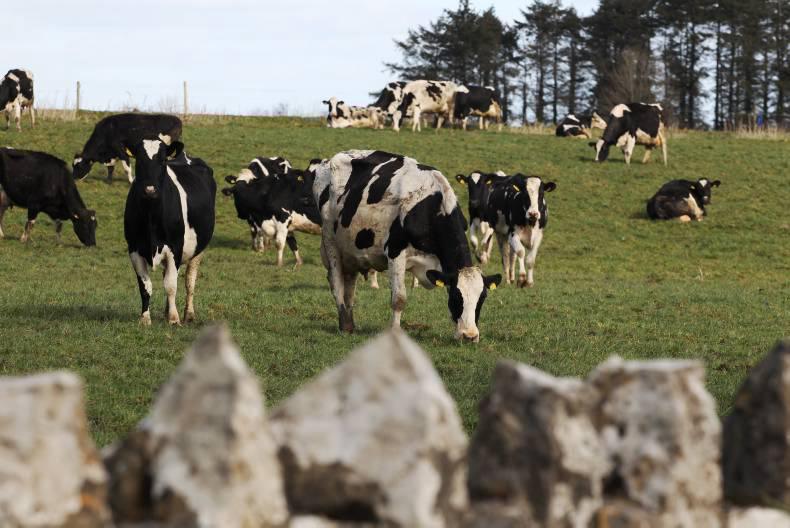 A bluffer's guide to the end of milk quotas A bluffer's guide to the end of milk quotas