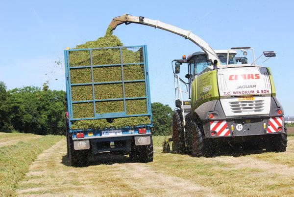 Paperwork crucial to active farmer question Paperwork crucial to active farmer question